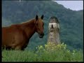 chechen eshar