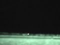 8-4-07 Terr Stalk H @1.19am Need help to identify H 8-4-07 Terr Stalk H @1.19am Need help to identify H