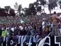 SPORTING Vs pasteis (FINAL DA TAÇA)