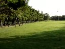 boomerang