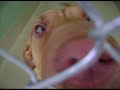 Baldwin County Animal Control in Magnolia Springs Al. dogs sept 17th 2011.mp4