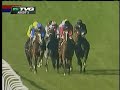 2008 Fillies Mile S. Rainbow View--Fantasia 2008 Fillies Mile S. Rainbow View--Fantasia