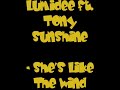 Lumidee ft. Tony Sunshine - She\