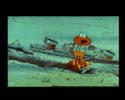 James Pond CD32 Cartoon Promo