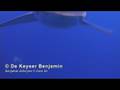 Afrique du Sud net-Vidéo HD.mov