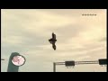 GTA VI MONTAGE