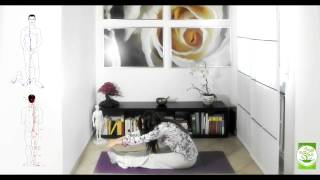 Stretching dei meridiani -  Sequenza MAKKO-HO