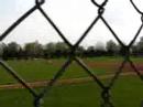 Shotgunned Umpire