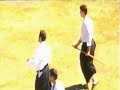 Summer Aikido School in Durmitor, Montenegro 1996
