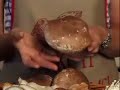 Mushrooms 101