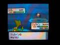 ポケトレで色違いGET!(10)コイル