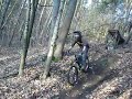bike meclov 7