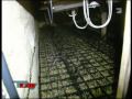 Profi-Pflanzer im Visier der Fahnder (FocusTV) Part1 Profi-Pflanzer im Visier der Fahnder (FocusTV) Part1