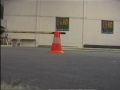 Search Video