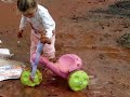 aim� chafurda na lama do vizinho