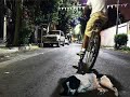 yo tenia 10 perritos