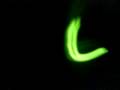 Glow Bug