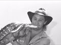 sunshine coast daily steve irwin tribute