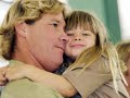 sunshine coast daily steve irwin tribute