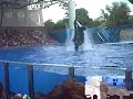 Florida Holiday - Shamu Belive Show Part 1 Florida Holiday - Shamu Belive Show Part 1