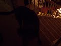 Pre-soak from Tucker