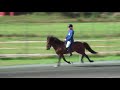 Edda Hrund Hinriksd�ttir - T�nn fr� Hala