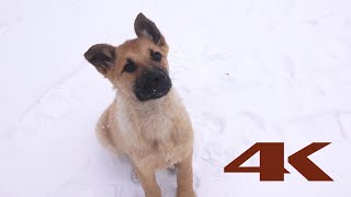 Зима в Мариуполе 2019(4К ВИДЕО)