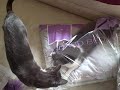 YouTubeサムネイル[ddQXCnz-nZY] - 2枚目