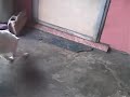 baby jumong hates water