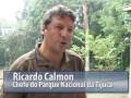 Ver o vídeo