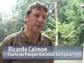 Ver o vídeo