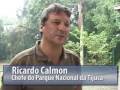 Ver o vídeo