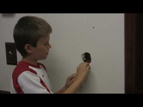 how to patch nail holes in plaster