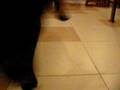 videos de Wedel i piłka