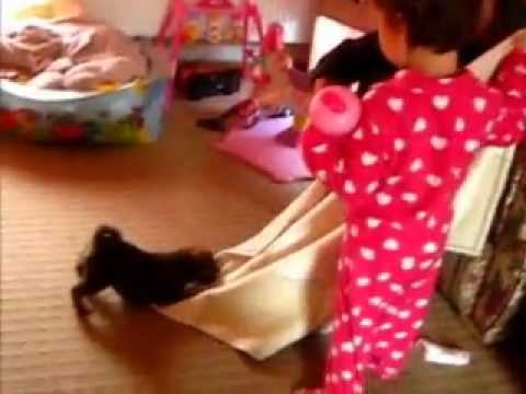boxweiler