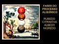 Jung e a Alquimia