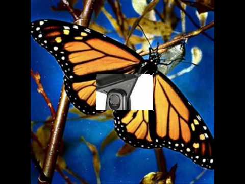 silabas m.wmv