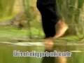 videos de cbwalk