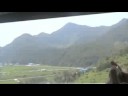 Bus RIde to Dongguk University 
