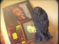 MO Show 2002 JAMAICA! SEG8