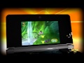 RAYMAN - 1995 - 2011