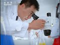 韓國高麗蔘皂苷仙蔘精廣告2