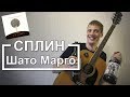 Сплин - Шато Марго (Разбор для гитары, видеоурок на гитаре Сплин, Аккорды)