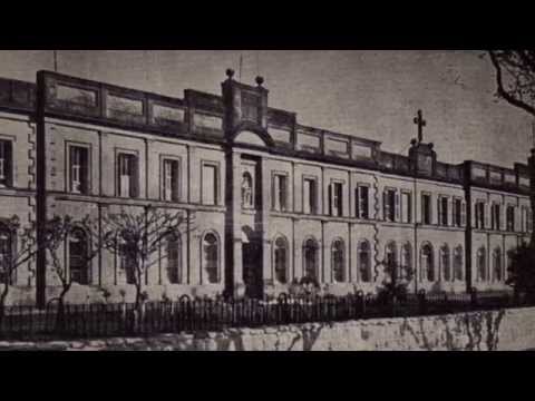 Congregación del Verbo Divino