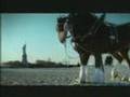 Budweiser Tribute - Respect