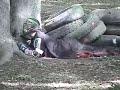The Lost Adventures of the ROFLCopter Pt.2