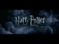 saga harry potter