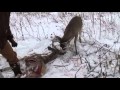 LOCKED BUCKS