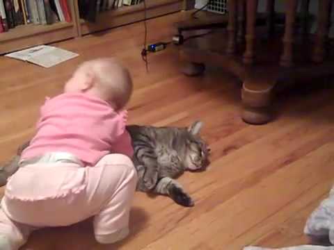 The most patience cat ever