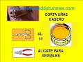 LOS CUIDADOS DEL HURON "CORTE DE GARRAS"...